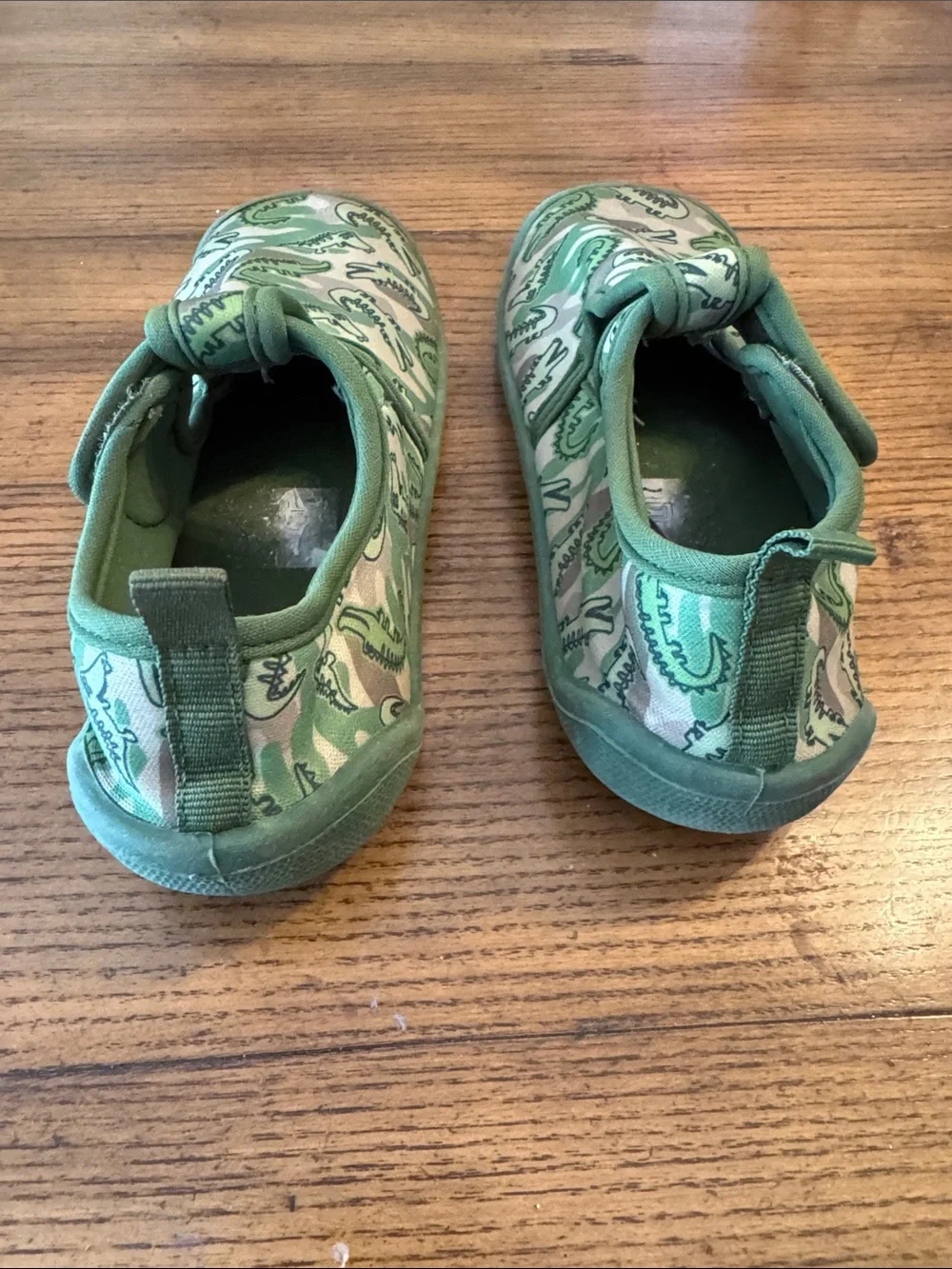 ☀️3 for $10☀️ Dinosaur Water Shoes